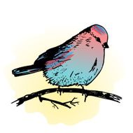 Hand drawn bird