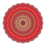 beautiful vector ornament N5