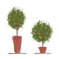 Pots with green tree for your design N2