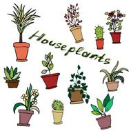 Vector set of houseplants in pots with an inscription
