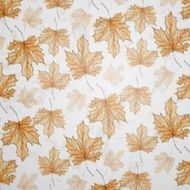 Hand Drawn Autumn Background N10