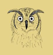 owl sketch N2