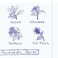 Handdrawn set - Ayurvedic Herbs N4