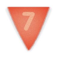 Bunting flag number 7