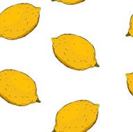 Lemon vector pattern