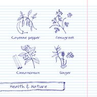 Handdrawn Illustration - Health and Nature Set N33