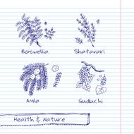 Handdrawn Illustration - Health and Nature Set N34