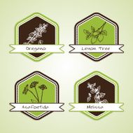 Set of Natural Organic Product badges N8