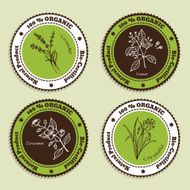 Set of Natural Organic Product badges N9