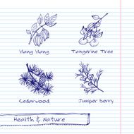 Handdrawn Illustration - Health and Nature Set N36
