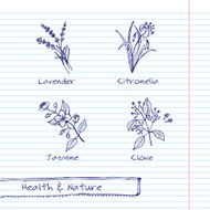 Handdrawn Illustration - Health and Nature Set N37