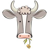 Cow Head N3