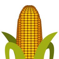 Vegetables design N7