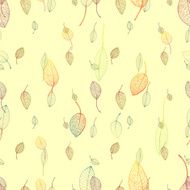 autumn leaf background N12