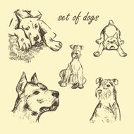 Vector hand drawn Set of dogs N2