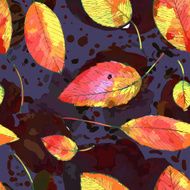 autumn leaf background N14