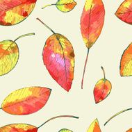 autumn leaf background N15