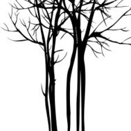 Vector background with trees N3