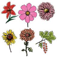 Flowers N70