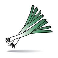 Freehand drawing leek icon