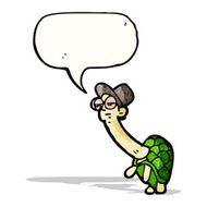 Cartoon Tortoise N85