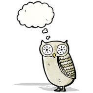 Cartoon Owl N242