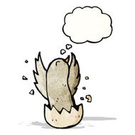 Cartoon Bird Hatching N3