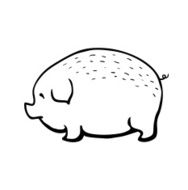 pig vector sketch illustration
