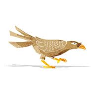 Cartoon Bird N578