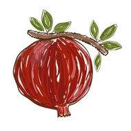 Vector pomegranate