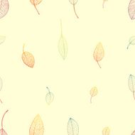 autumn leaf background N16