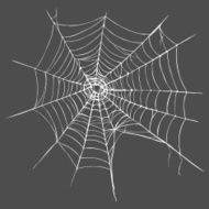 Vector Spider&#039;s Web on Dark Gray Background