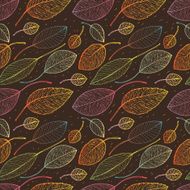 autumn leaf background N17