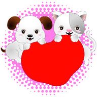Lovely dog and cat isolated on white background