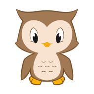 Little Owl N2