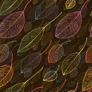 autumn leaf background N18