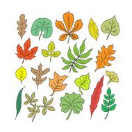 Hand-drawn leaves doodles set