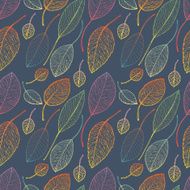 autumn leaf background N19