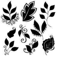 Vector Set of Leaves Stencils Isolated