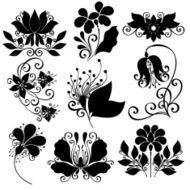 Vector Set of Flowers Stencils Isolated N5