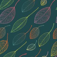autumn leaf background N20