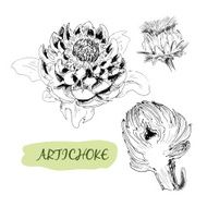 Artichoke N5