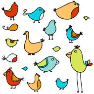 Birds N18