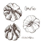 garlic N3