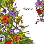 floral frame with flowers N6