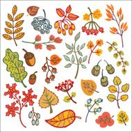Set Decorative Autumn leaves berries acorns N3