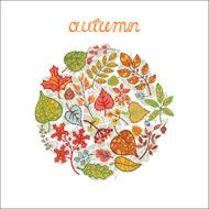 Vector autumn composition circle with leaf branches berries