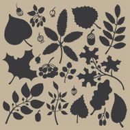 Vector silhouette set with leaf branches berries acorn