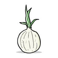 Cartoon Onion N29