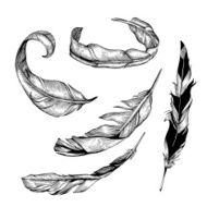 Feather set N5